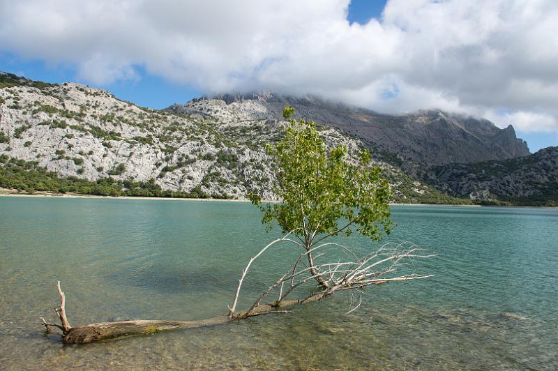 140526_1003_T01318_Cuber_Soller_hd.jpg - Lac de Cuber