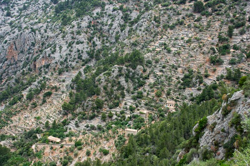 140526_1330_T01416_Cuber_Soller_hd.jpg - Schlucht von Biniaraix