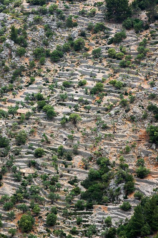 140526_1330_T01417_Cuber_Soller_hd.jpg - Schlucht von Biniaraix