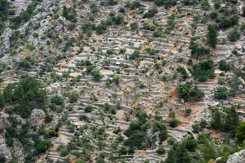 140526_1330_T01418_Cuber_Soller_hd.jpg - Schlucht von Biniaraix