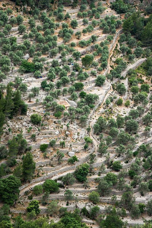 140526_1332_T01420_Cuber_Soller_hd.jpg - Schlucht von Biniaraix