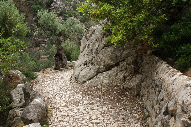 140526_1432_T01428_Cuber_Soller_hd.jpg - Schlucht von Biniaraix