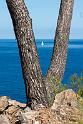 140525_1047_T01264_Deia_PortDeSoller_hd