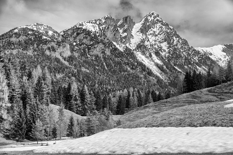 130414_1045_T00640_HintersteinerSee_viv.jpg - Scheffauer