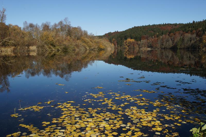 DSC900039_091101_Bechtelesee.JPG - Herbststimmung am Bechtelesee