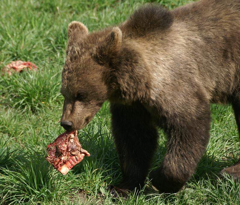 PICT86085_080420_Poing_c.jpg - Hmmm, lecker!