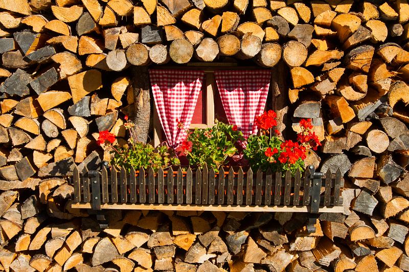 110923_T8380_Pfelders-Magdfeld.jpg - Am Wegrand in Pfelders