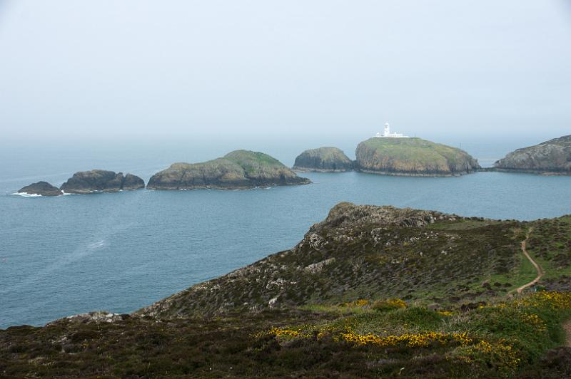 170523_1351_T08767_PembrokeshireCoastPath_hd.jpg - Wales, Pembrokeshire Coast Path, Etappe Trefin - Goodwick