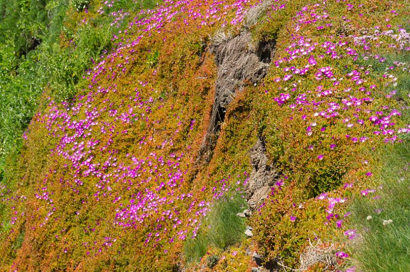 170518_1424_T08413_SouthWestCoastPath_hd.jpg - Cornwall, South West Coast Path, Etappe Marazion - Porthleven