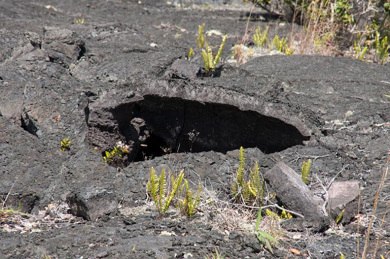 150617_1417_T04228_Kilauea.jpg - Chain of Craters Road