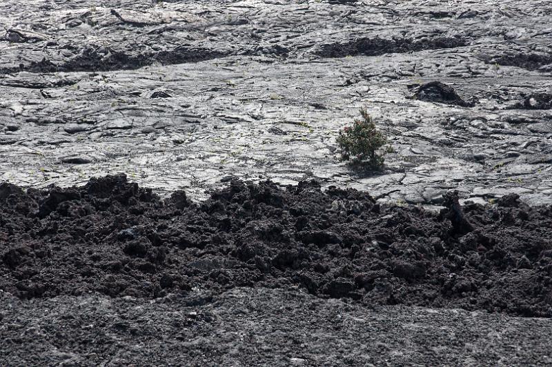 150617_1452_T04235_Kilauea.jpg - Chain of Craters Road