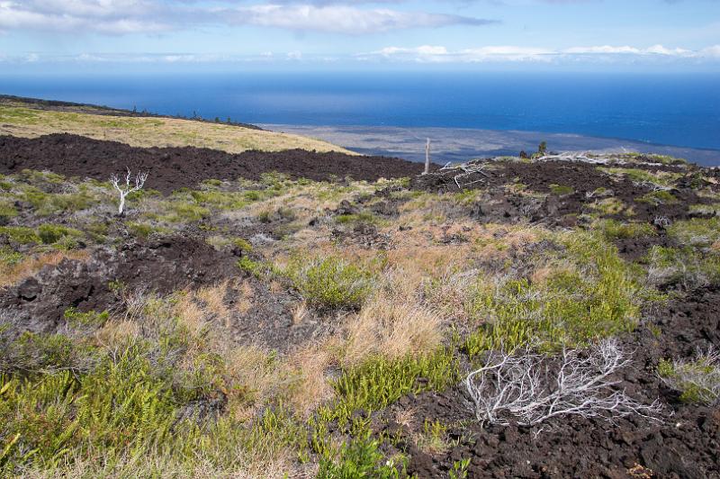 150617_1501_A00310_Kilauea.jpg - Chain of Craters Road