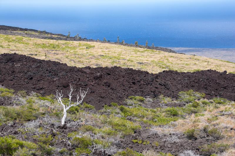 150617_1501_A00312_Kilauea.jpg - Chain of Craters Road