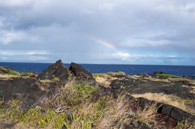 150617_1639_A00331_Kilauea.jpg - Chain of Craters Road, Holei Sea Arch