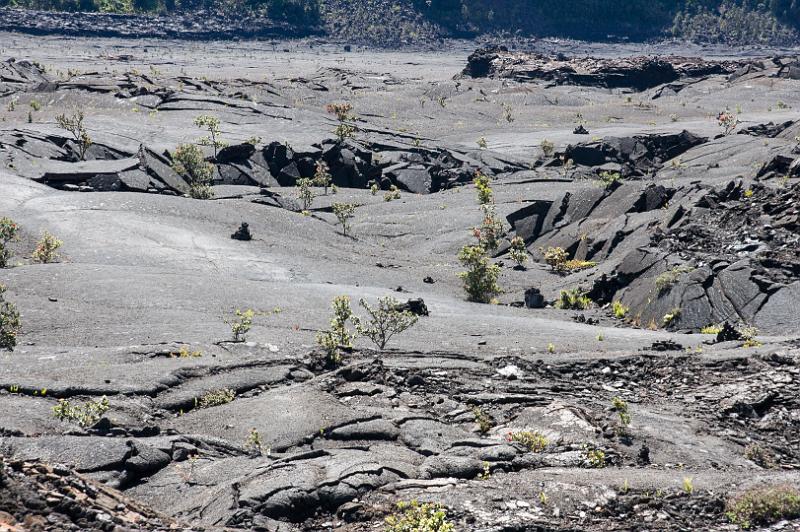 150618_1009_T04324_Kilauea.jpg - Kilauea Iki