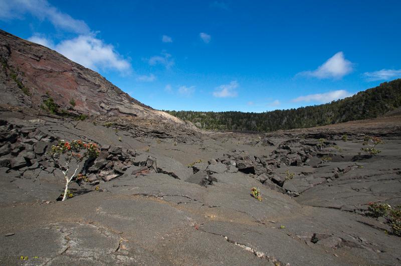 150618_1022_T04343_Kilauea.jpg - Kilauea Iki