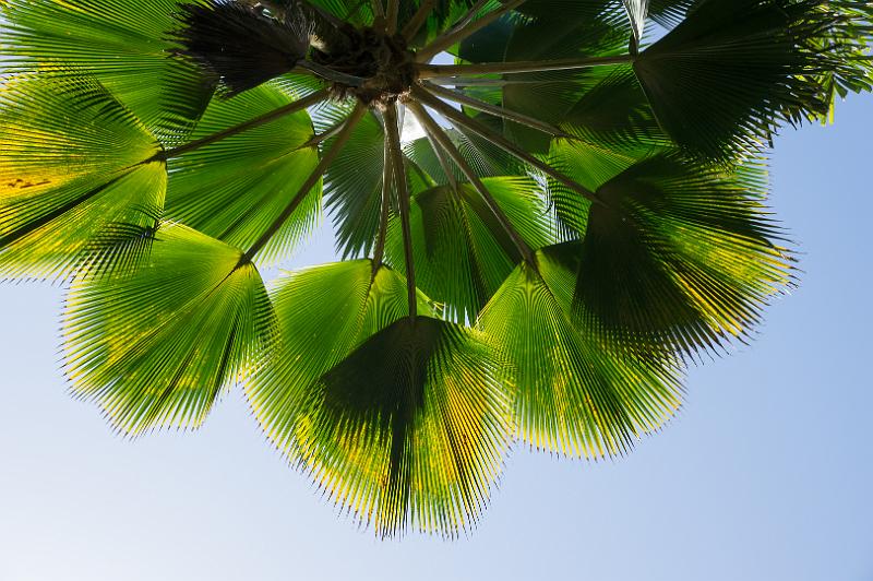 150619_1442_T04496_TropicalGarden.jpg - Hawaiian Tropical Botanical Garden