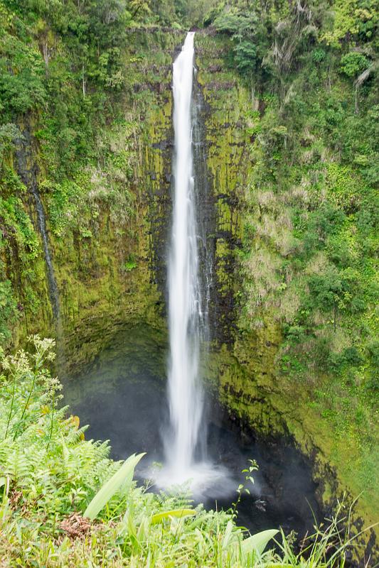 150619_1541_A00552_AkakaFalls.jpg - Akaka Falls