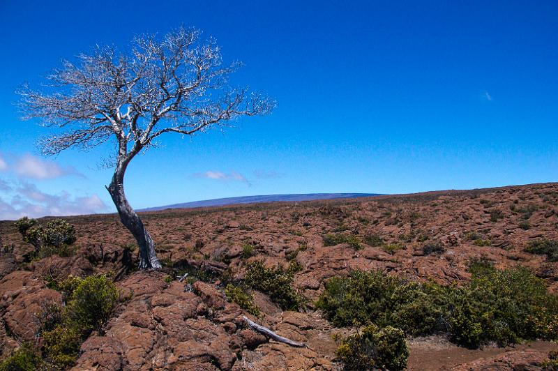 150620_1116_A00568_MaunaLoa.jpg - Mauna Loa, Aufstieg zum Red Hill