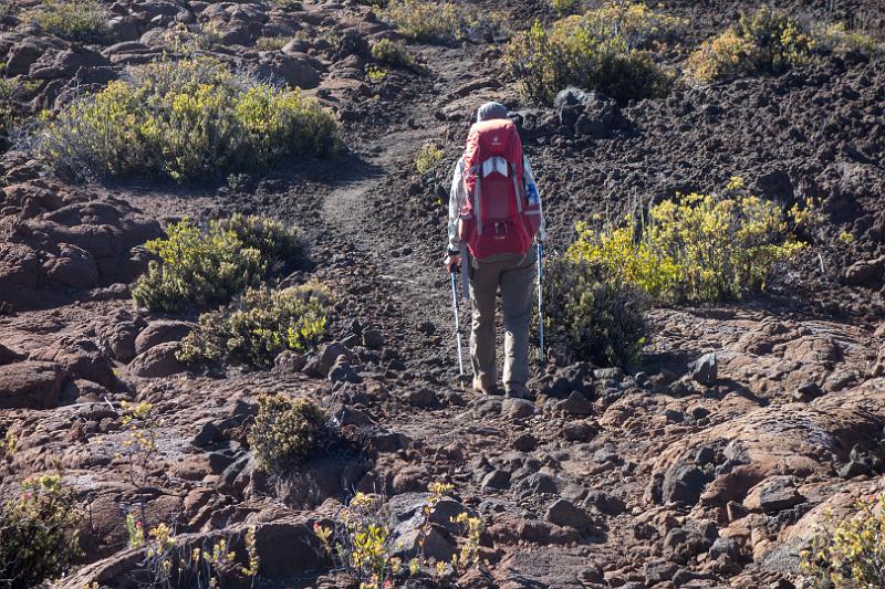 150623_0800_T05347_MaunaLoa.jpg - Mauna Loa, Abstieg vom Red Hill