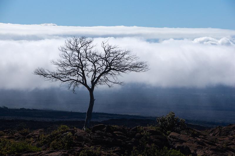 150623_0838_A00676_MaunaLoa.jpg - Mauna Loa, Abstieg vom Red Hill