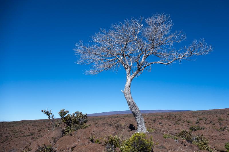 150623_0851_T05354_MaunaLoa.jpg - Mauna Loa, Abstieg vom Red Hill