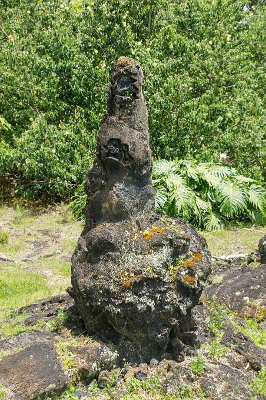 150623_1305_T04512_LavaTrees.jpg - Lava Tree