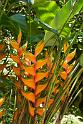 150619_1318_A00477_TropicalGarden