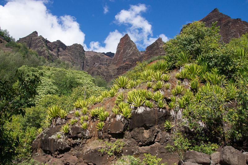 150607_0953_A09477_KukuiTrail.jpg - Waimea Canyon