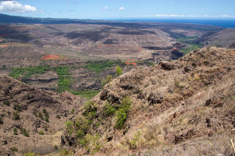 150607_1358_A09528_WaimeaCanyon.jpg - Am Waimea Canyon Drive, Blick Richtung Südküste