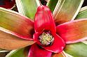 150614_1330_A09955_KulaGardens