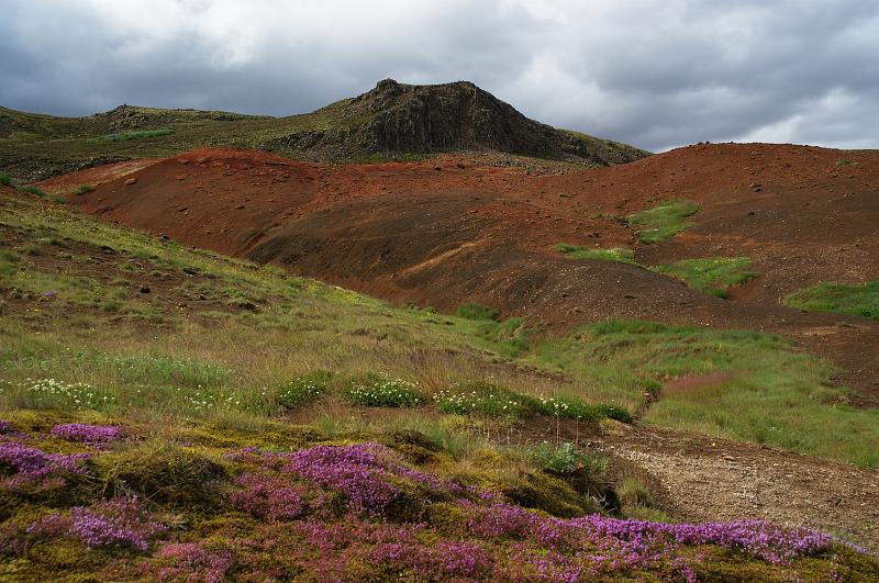 100702_A0092_Geysir.jpg - Geysir - tolle Farben, selbst bei bedecktem Himmel