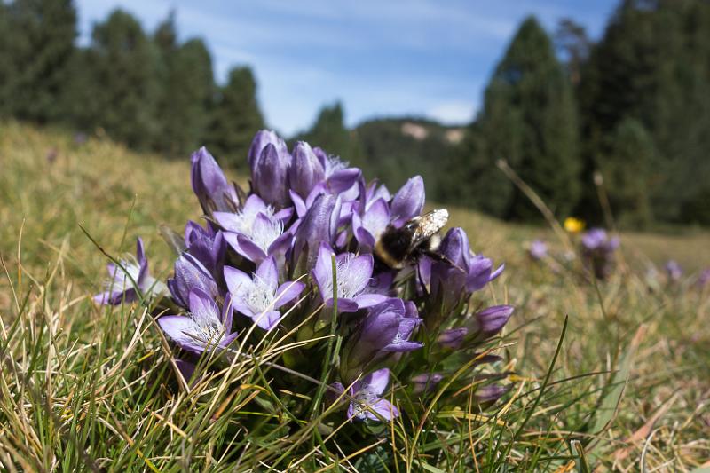 130922_1346_T02245_StUlrich_Brogles_hd.jpg - Im Grödnertal
