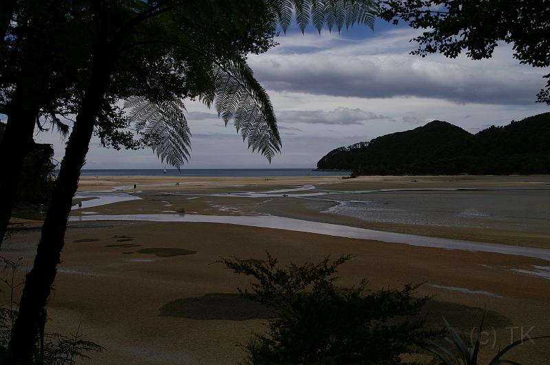 PICT93736_090109_AbelTasman3.jpg - Bark Bay, High Tide Track