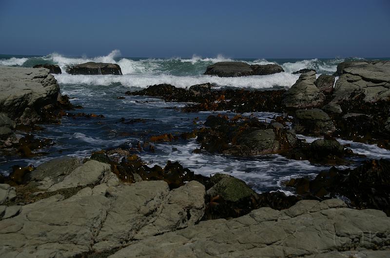PICT9A1074_090114_Kaikoura.JPG - Kaikoura, Point Kean