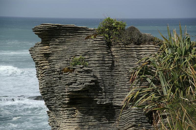 PICT9A0415_090102_Punakaiki.jpg - Pancake Rocks, Punakaiki National Park