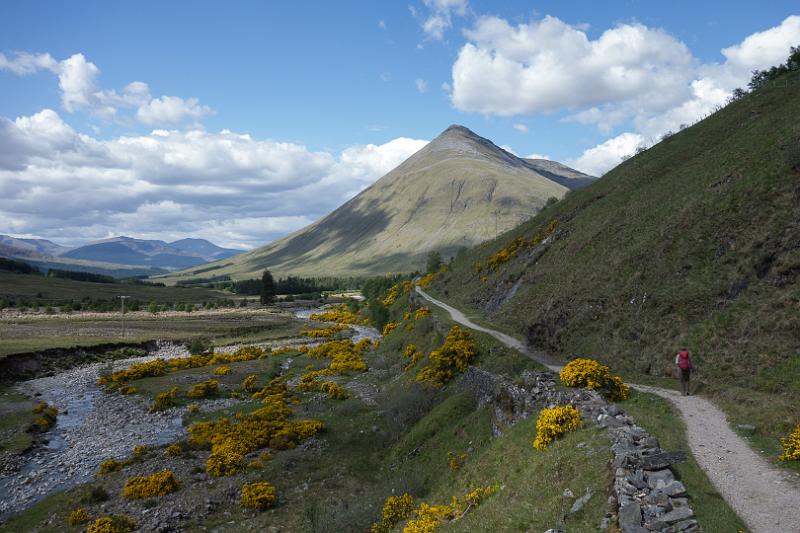 160529_1535_T06786_WHW_hd.jpg - West Highland Way zwischen Tyndrum und Bridge of Orchy