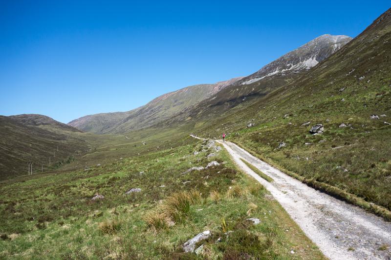 160601_1013_T06943_WHW_hd.jpg - West Highland Way zwischen Kinlochleven und Fort William