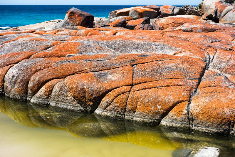 130111_1244_T00660_AnsonsBay_TheGardens.jpg - Bay of Fires, kurz vor The Gardens