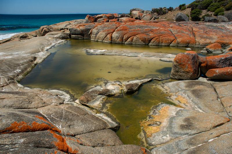 130111_1248_A07222_AnsonsBay_TheGardens.jpg - Bay of Fires