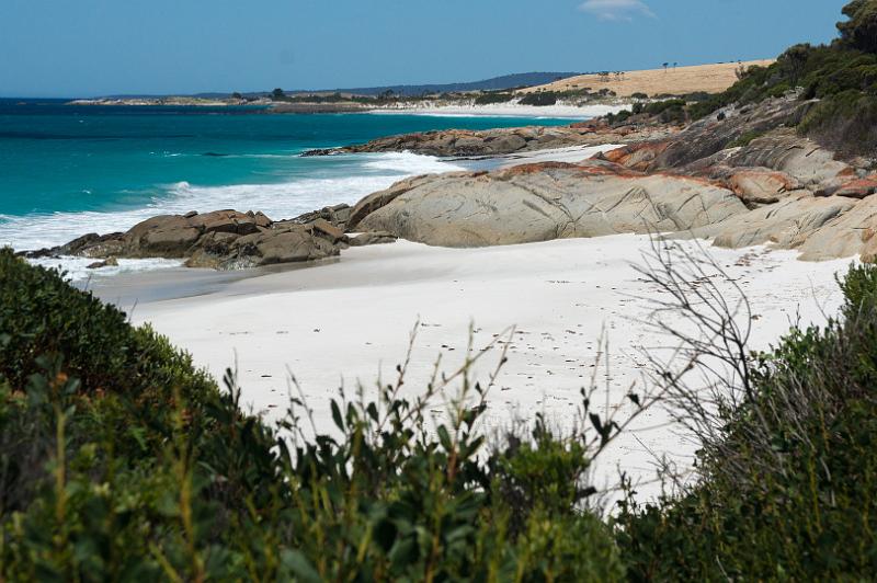 130111_1252_A07226_AnsonsBay_TheGardens.jpg - Bay of Fires