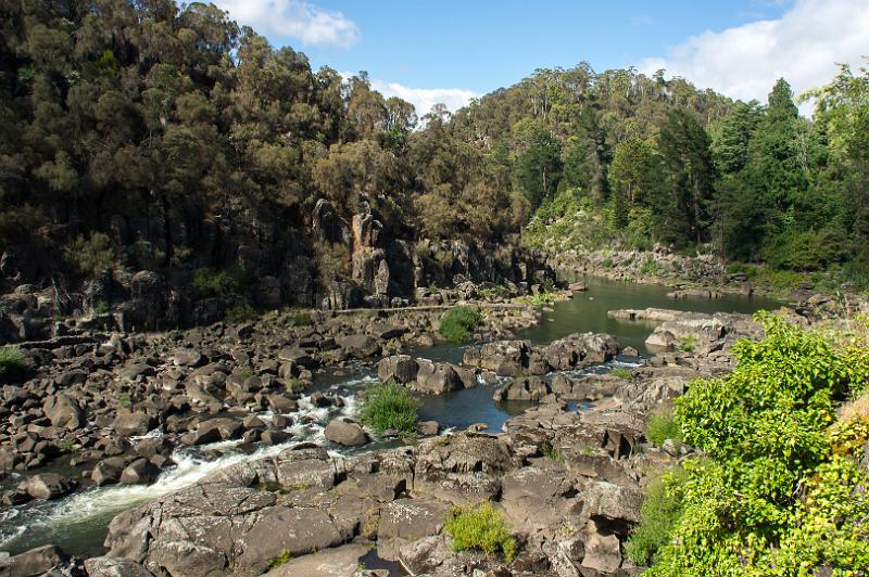 121218_0937_A05836_CataractGorge_fhd.jpg - Am Nordufer des Tamar River führt ein komfortabler Weg von Launceston zum First Basin