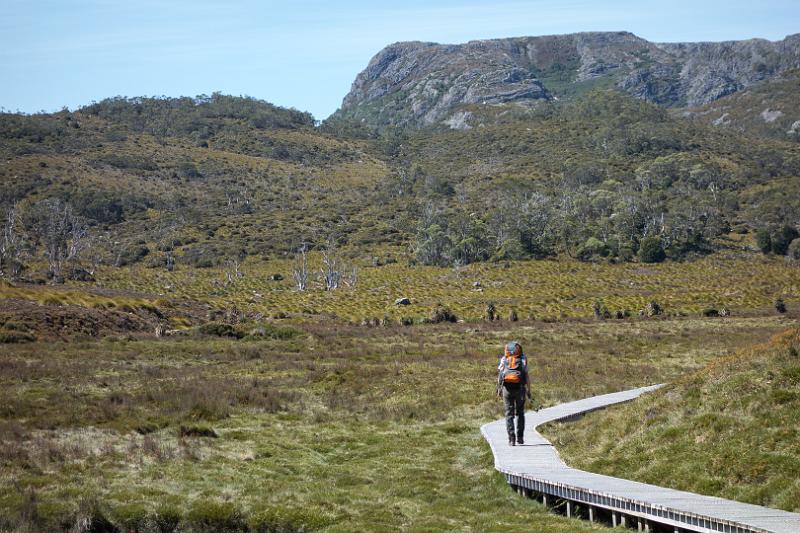 130107_1040_T00273_CradleMountain.jpg - Ronny Creek mit Blick zu Marions Lookout