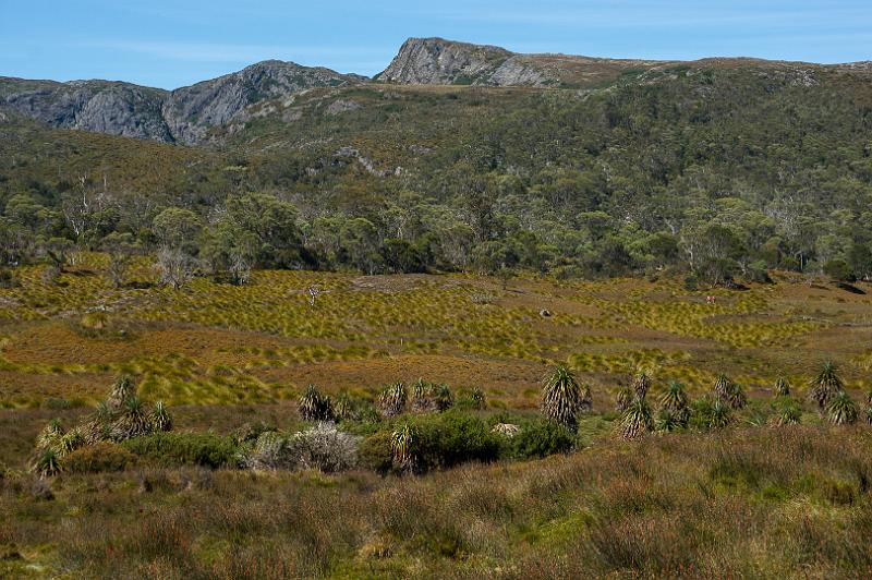 130107_1044_A07051_CradleMountain_fhd.jpg - Ronny Creek