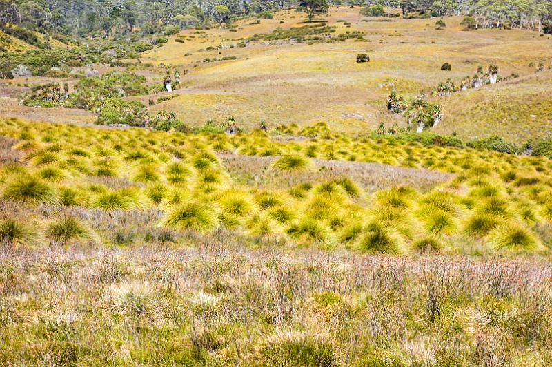 130107_1052_T00284_CradleMountain.jpg - Ronny Creek