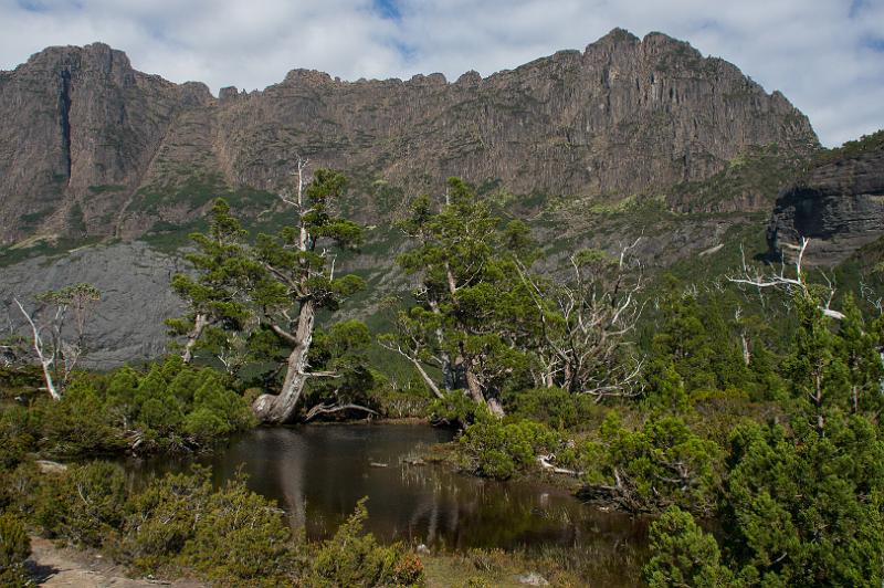 130108_0925_A07106_HansonsPeak_fhd.jpg - Cradle Mountain