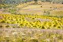 130107_1052_T00284_CradleMountain