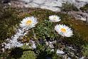 130107_1224_T00337_CradleMountain