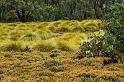 121219_1301_A05903_CradleMountain_fhd