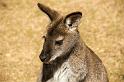 130103_1040_A06675_Tasman